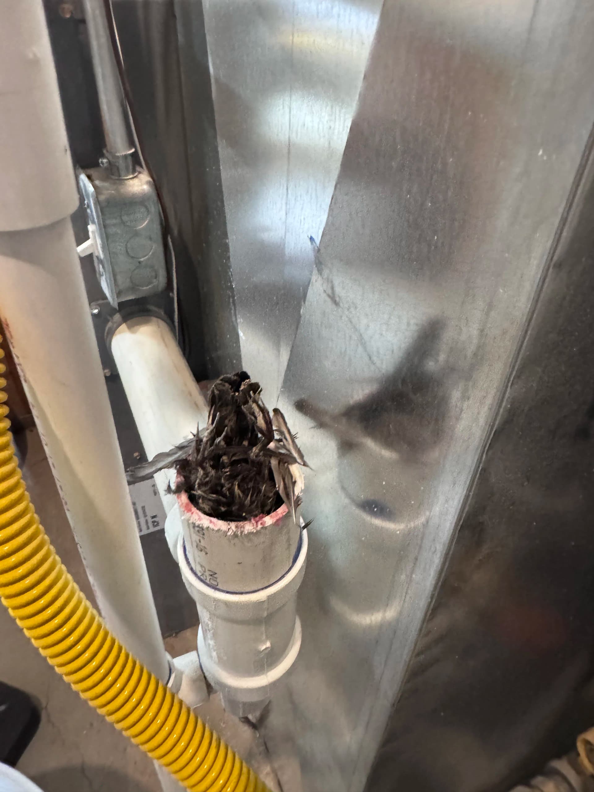 Your Furnace Won't Start - Here's Why That Happens